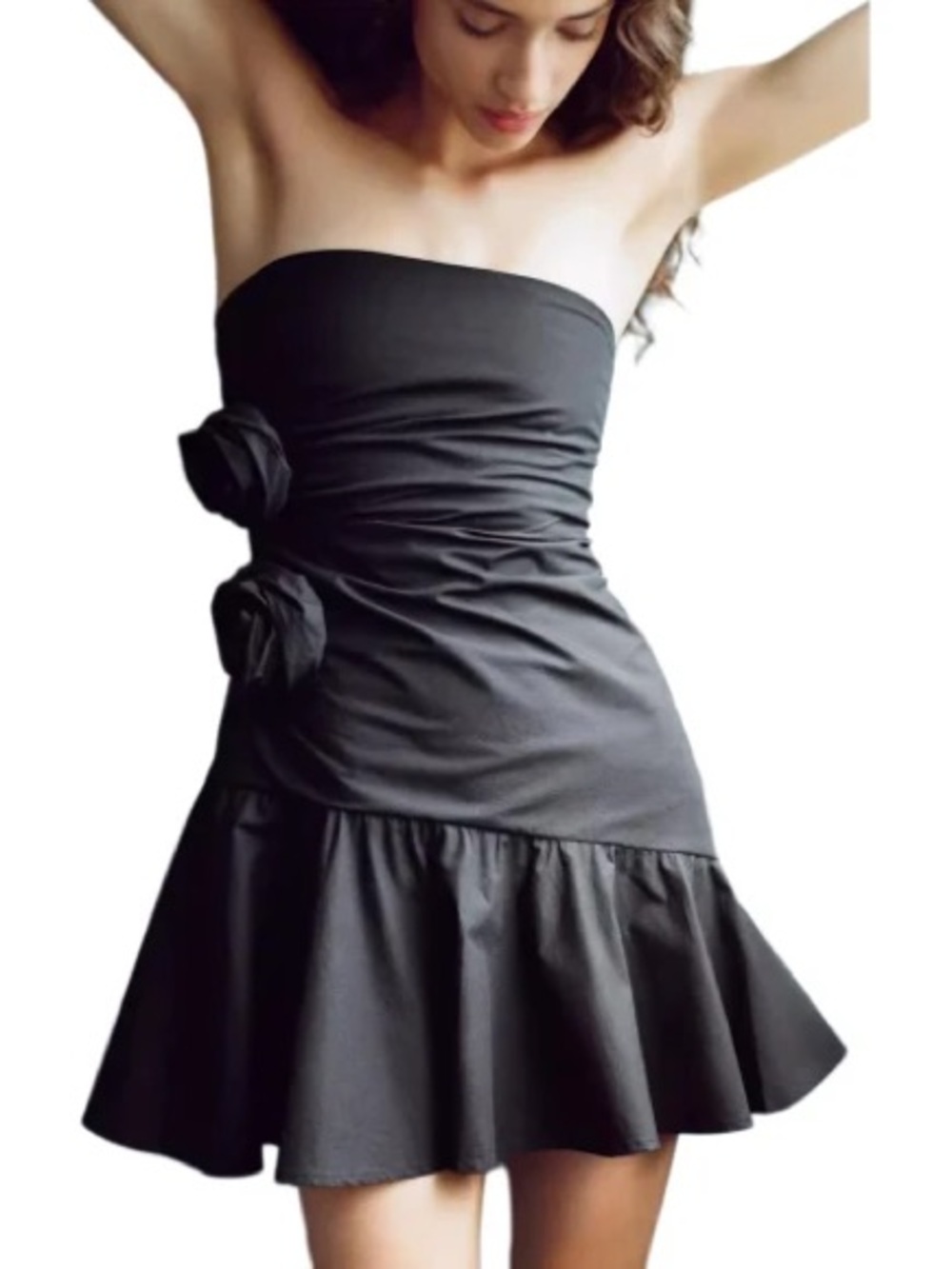 Zara raised flowers strapless poplin Mini Dress NWT S